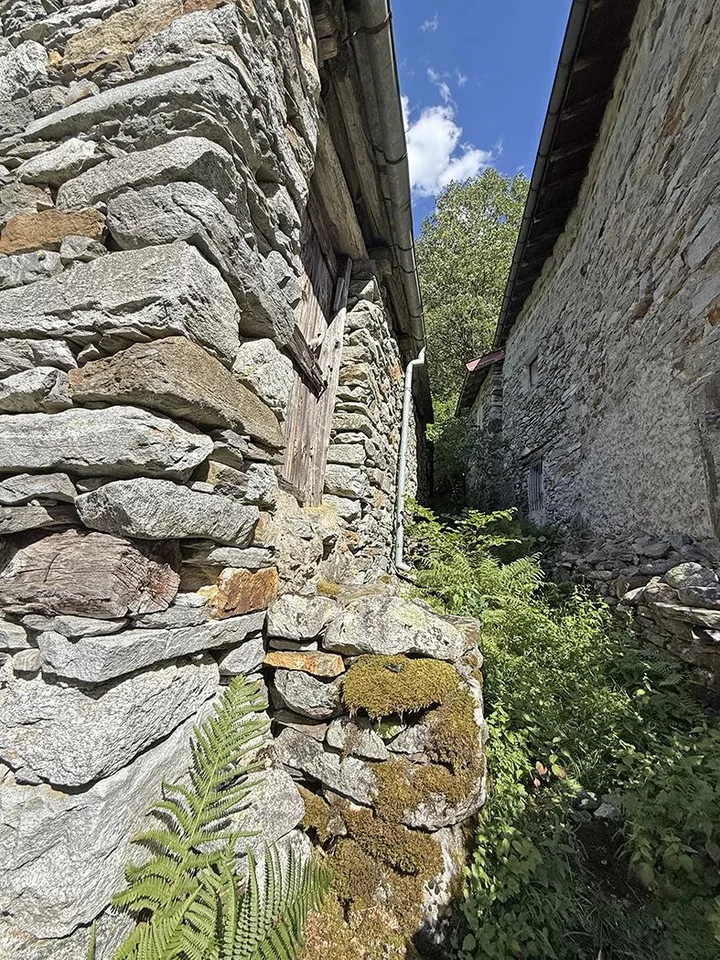 2 Rustici zur Renovierung mit Grundstück