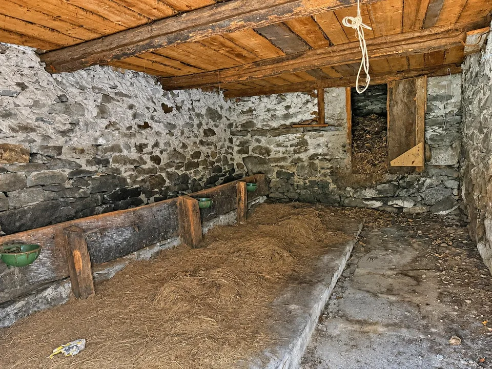 2 Rustici zur Renovierung mit Grundstück