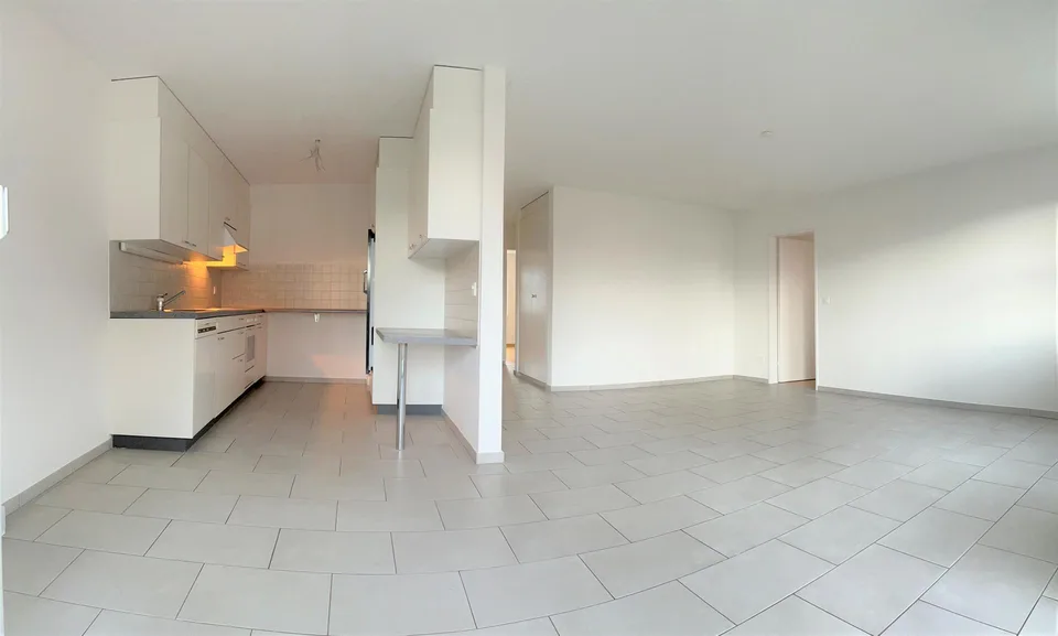 Helle 4½-Zimmerwohnung / appartement lumineux de 4½ pièces