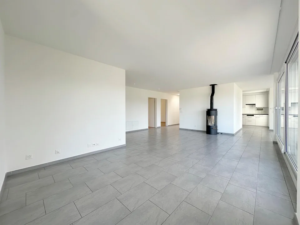 Residential experience Attica - Magnificent panoramic view over the Limmattal!
