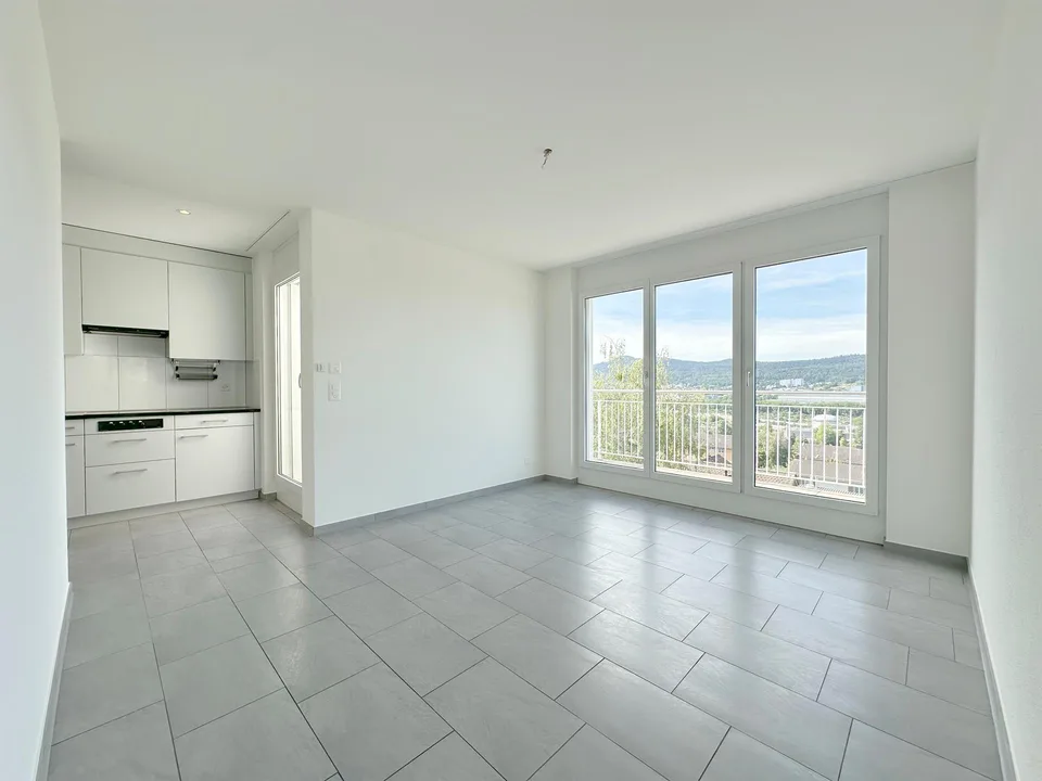 Residential experience Attica - Magnificent panoramic view over the Limmattal!