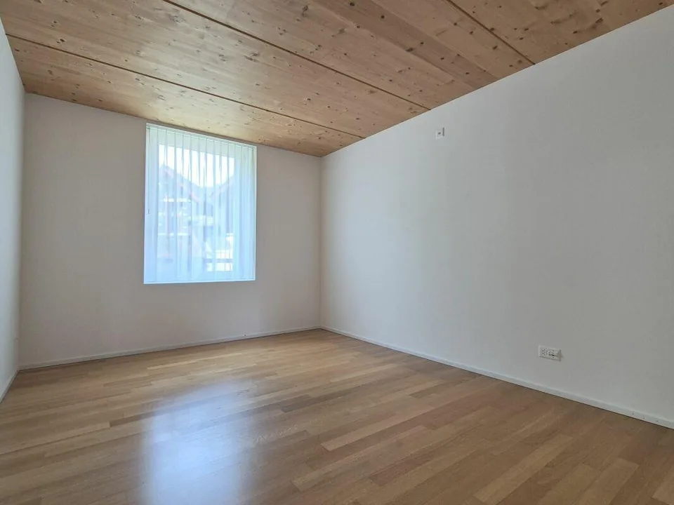 Abbigliamento assistito: appartamento 2,5 locali moderno con ampliamento moderno e balcone bello