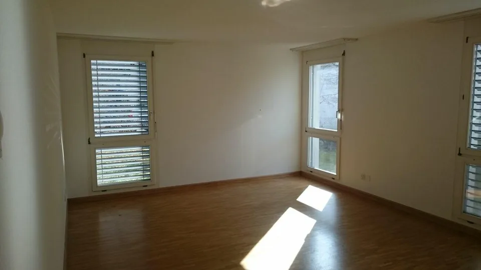 4.5-Zimmerwohnung in Dornach