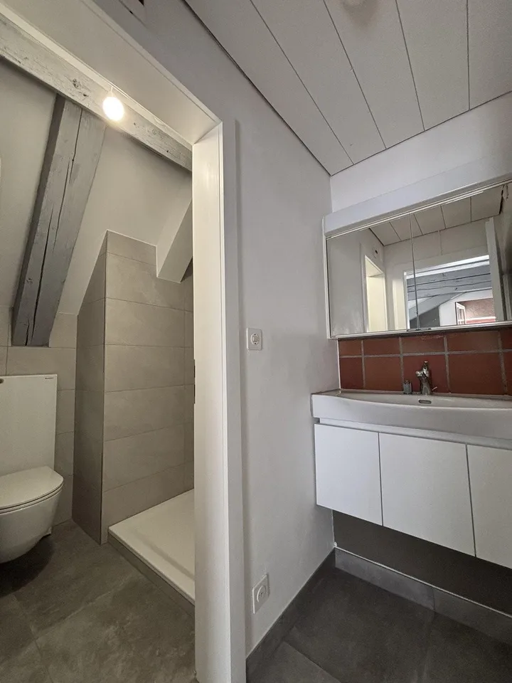 Renovierte 3.5-Zimmer-Maisonettewohnung in Liestal zu vermieten – Foto 10 von 12