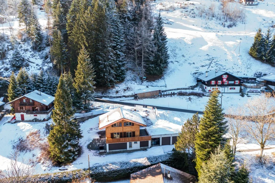 Les Cerniers, new chalet available immediately