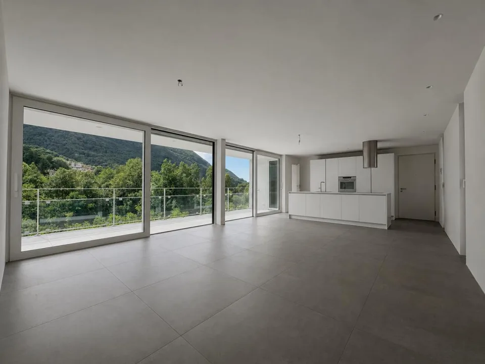 Appartamento con terrazza e splendida vista su Lugano e le montagne