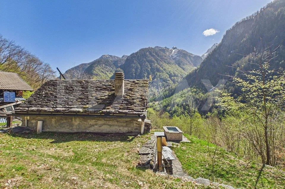 Piccolo rustico immerso nella natura a Campo Vallemaggia