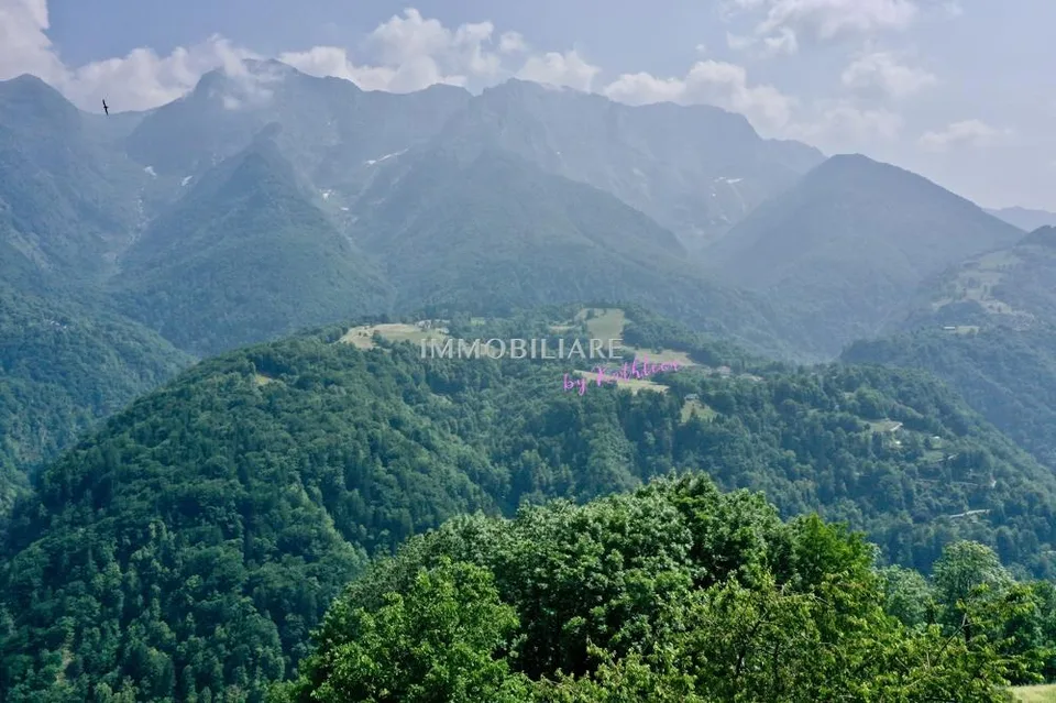 Edles Tessinerhaus in paradiesischer Lage: Weitblick, Sonne, Ruhe – Foto 13 von 23
