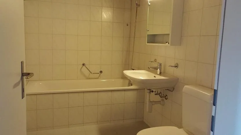 Charmant appartement 1 pièce au cœur de Laufen