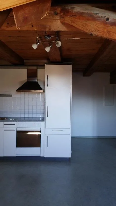 Charmant appartement 1 pièce au cœur de Laufen
