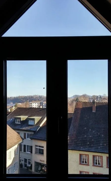 Charmant appartement 1 pièce au cœur de Laufen