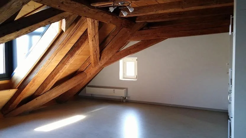 Charmant appartement 1 pièce au cœur de Laufen