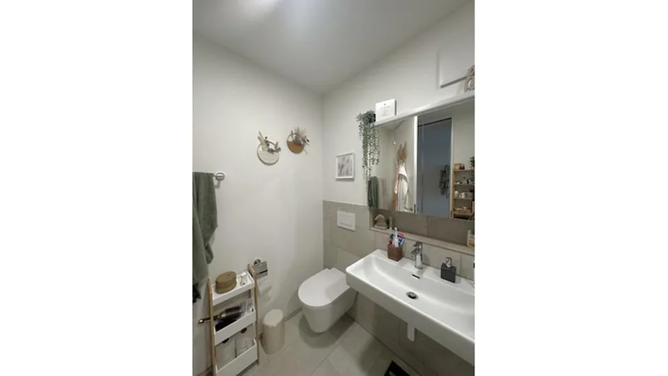 2½ ZI-WOHNUNG IN MÜNCHENSTEIN (BL), MÖBLIERT, TEMPORÄR