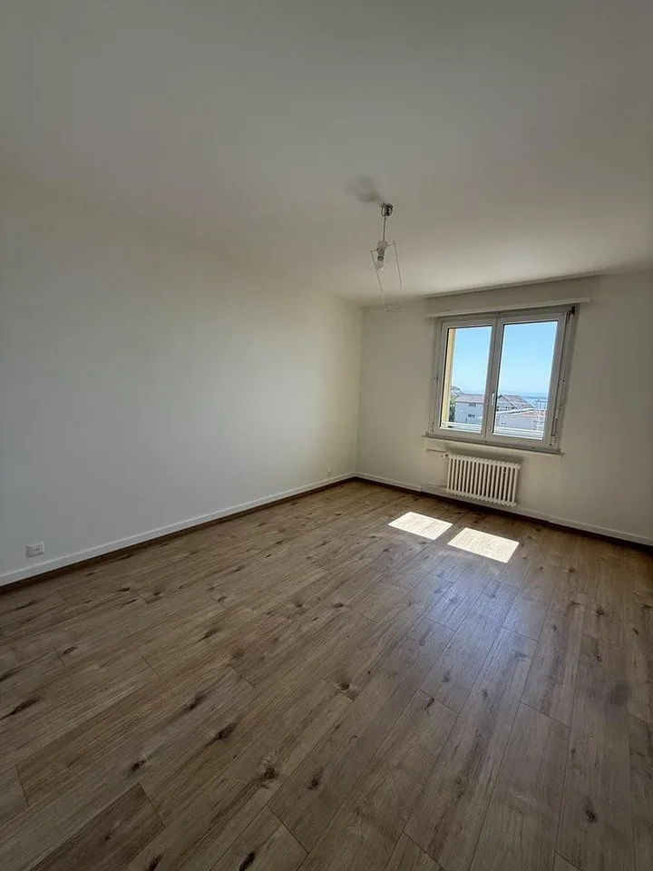 Bel appartement lumineux de 3.5 pièces avec vue sur le lac