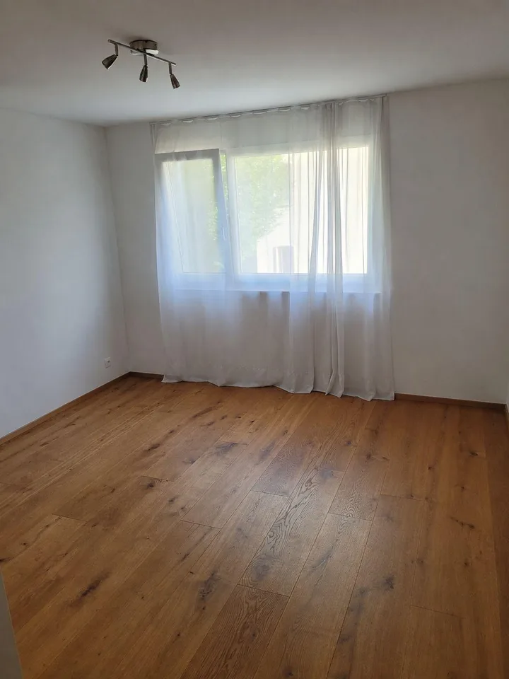 4.5 Zimmerwohnung in Luzern