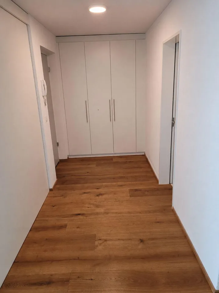 4.5 Zimmerwohnung in Luzern