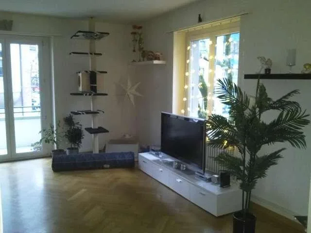 Zentrale Wohnung am Hauptbahnhof in Solothurn gesucht?