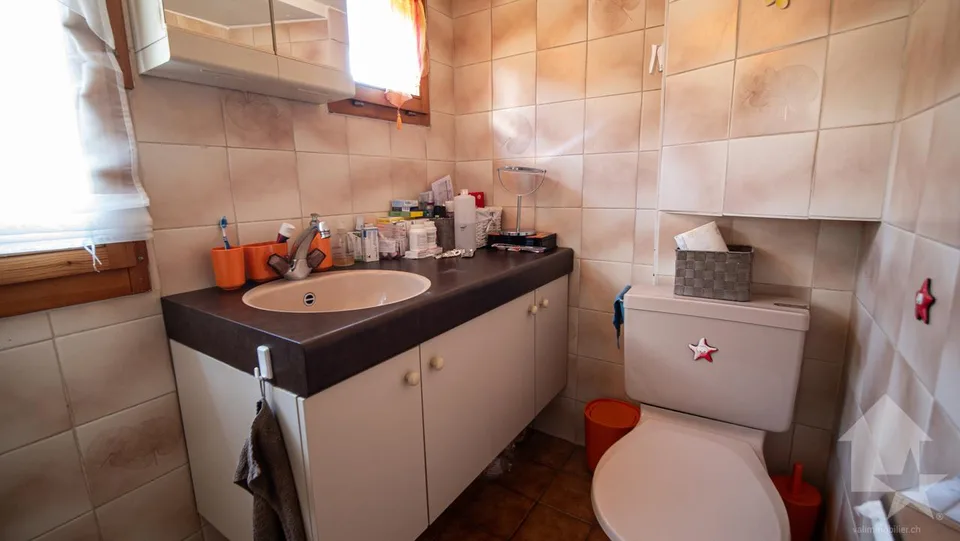 Grande maison avec local commercial au centre du village – foto 17 di 30