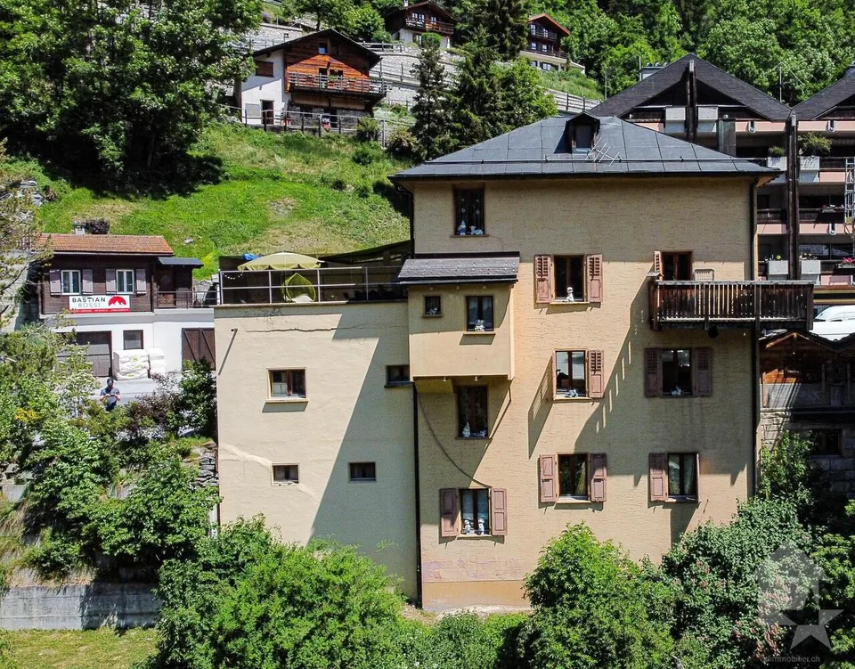Grande maison avec local commercial au centre du village