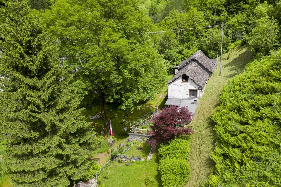 Originali rustici immersi nel verde