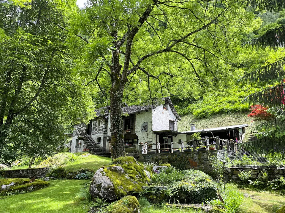 Originali rustici immersi nel verde
