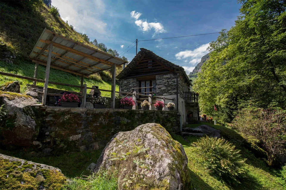 Originali rustici immersi nel verde