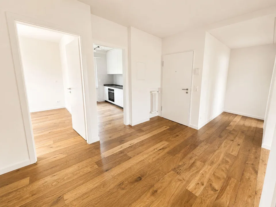 Elegantes 4.5-Zimmer-Wohnung in schöner Wohngegend in Stabio renoviert