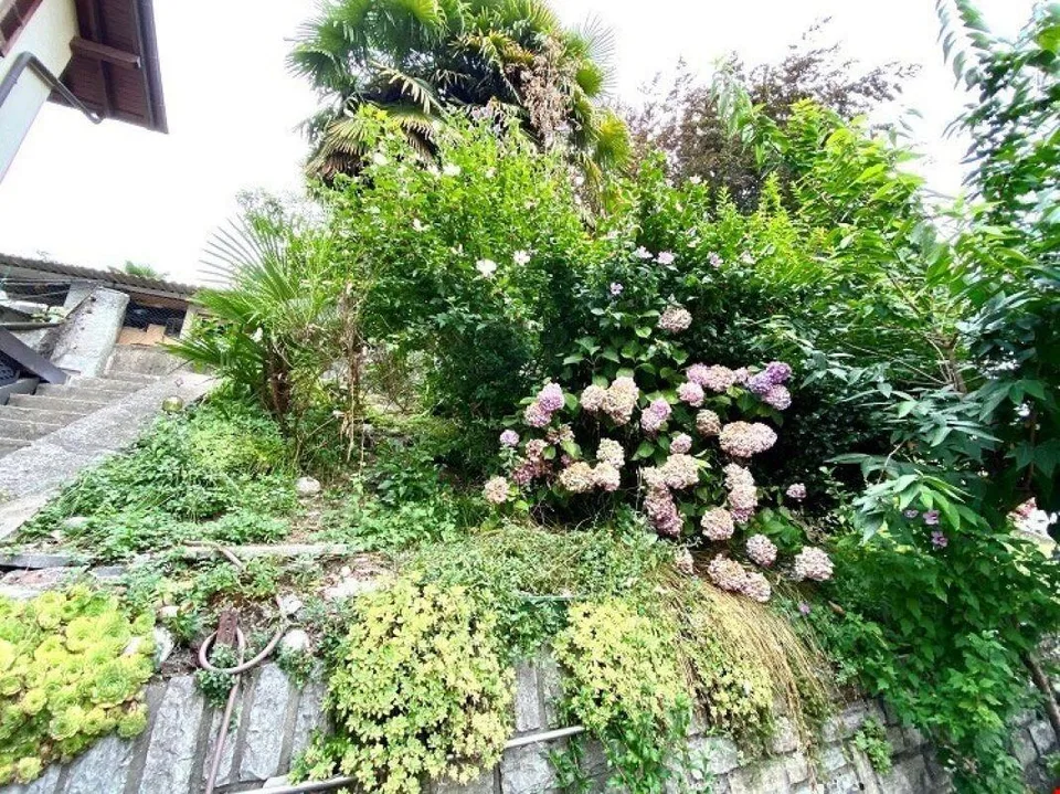 Renovierte Einfamilienhaus in grüner und ruhiger Lage – Foto 11 von 11