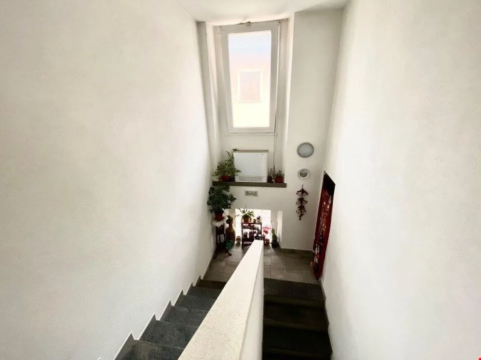 Renovated detached house in green and quiet area