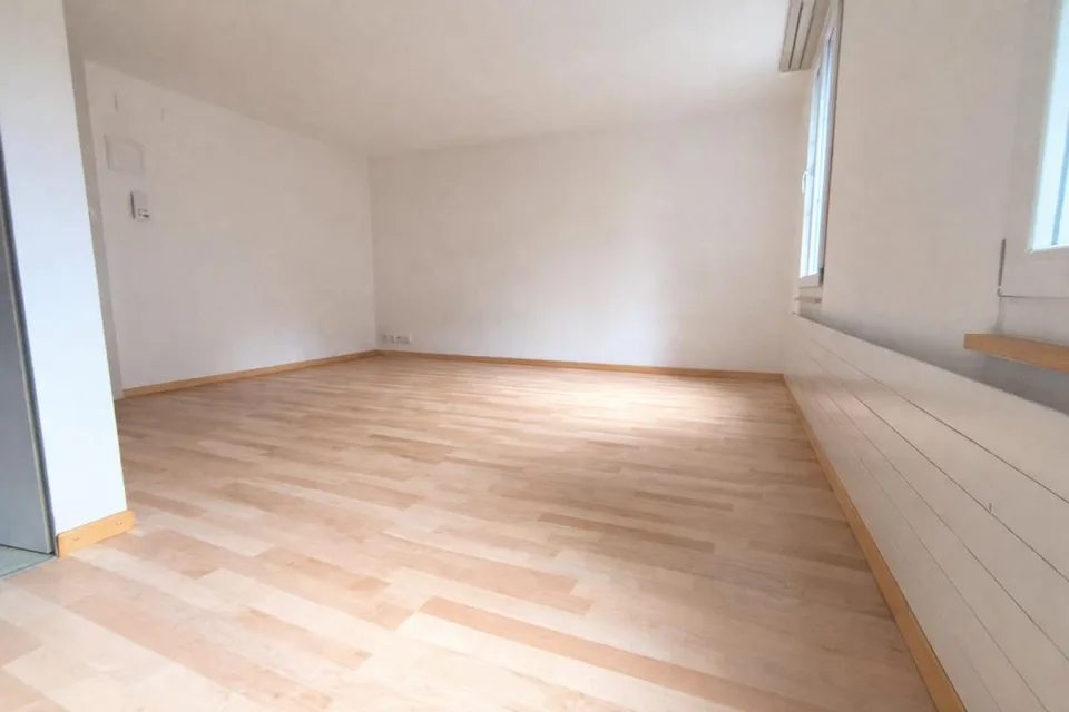 Charmante 1-Zimmer-Wohnung in St. Gallen mit neuer Küche