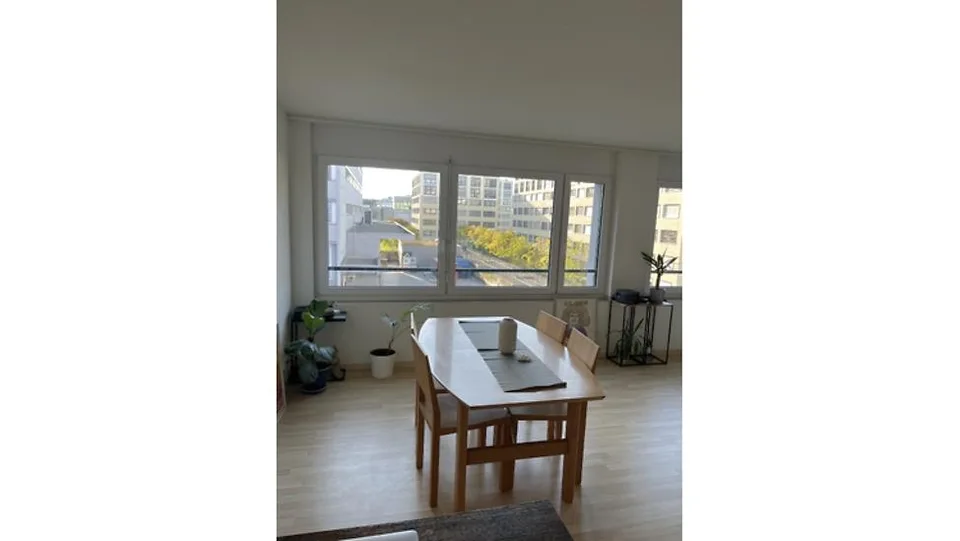2½ ZI-WOHNUNG IN ZÜRICH - KREIS 11, MÖBLIERT, TEMPORÄR