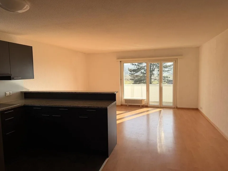 Helle 4.5-Zimmer-Wohnung mit Balkon in Solothurn
