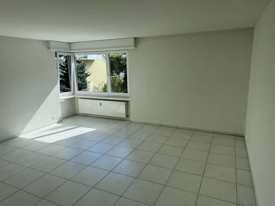 Incantevole appartamento di 3 locali con balcone e vista panoramica a Reinach BL