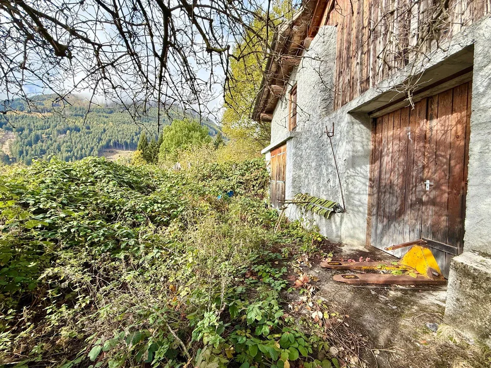Alpine Berghütte auf 900 m mit Privatzugang und 21.000 m² Land – photo 11 sur 16