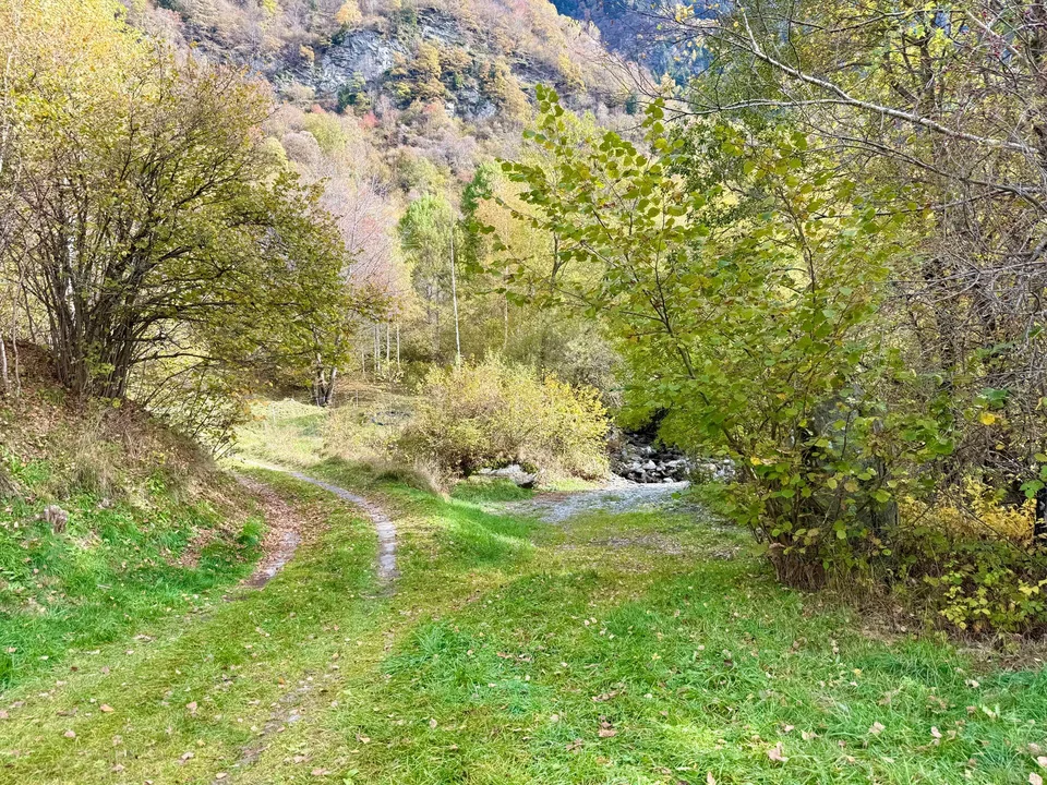 Alpine Berghütte auf 900 m mit Privatzugang und 21.000 m² Land