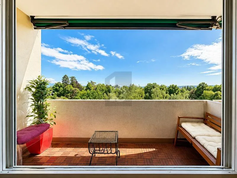 Magnificent 3-room apartment in Grand-Saconnex