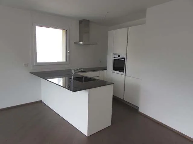 Appartement moderne de 4,5 pièces avec vue sur le lac et toit-terrasse – photo 6 sur 13