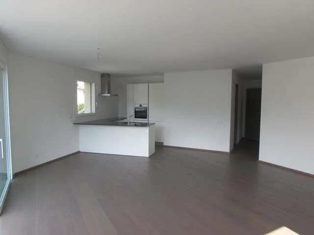 Moderno app. di 4.5 loc. con vista lago e roof-top