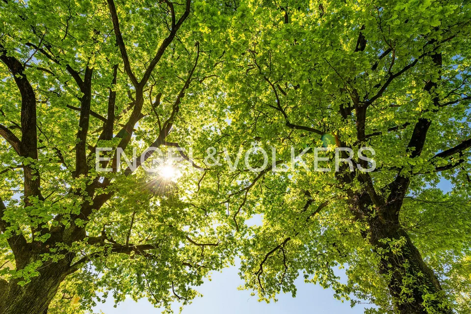 Gartenwohnung mit Aussenpool (62b) – Foto 15 von 15