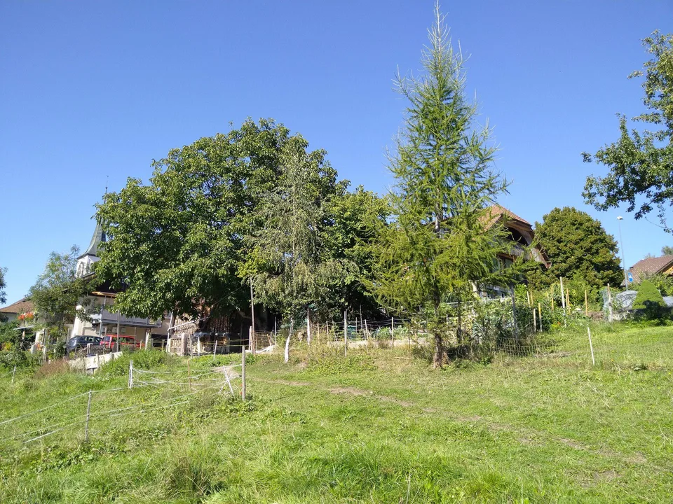 Baubewilligtes Projekt mit Kleinwohnformen