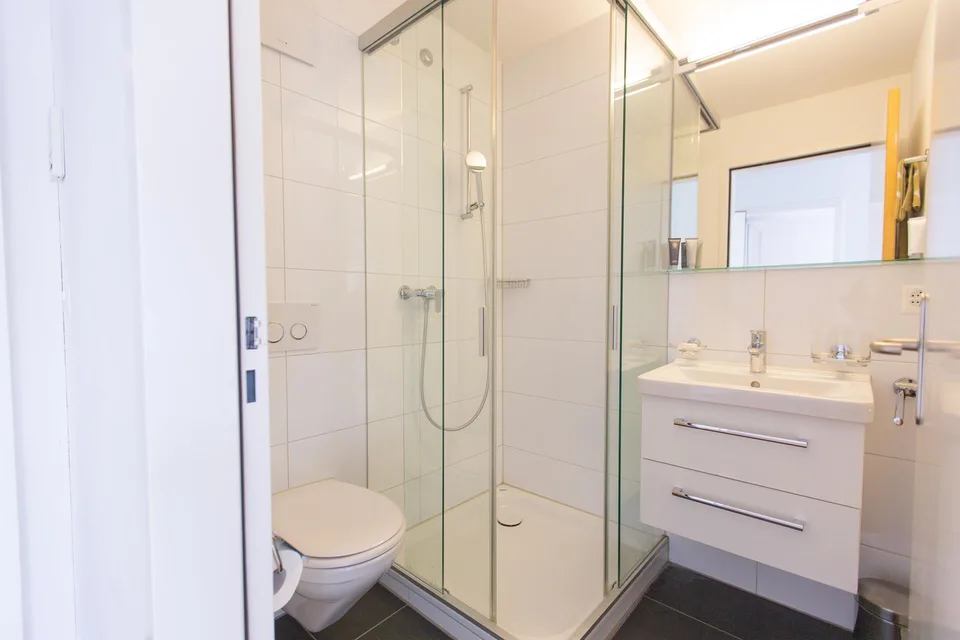 Möbliertes 2-Zimmer-Apartment mit Terrasse in der Innenstadt Zürich
