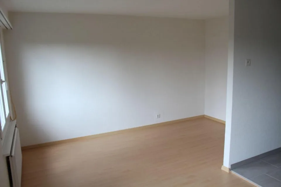 Gemütliches 1-Zimmer-Apartment in Zuchwil  ab sofort verfügbar!