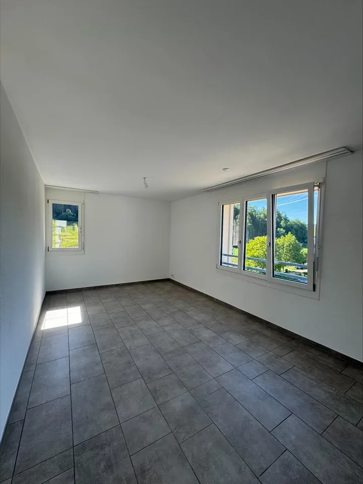 Appartement moderne avec deux grandes terrasses sur le toit