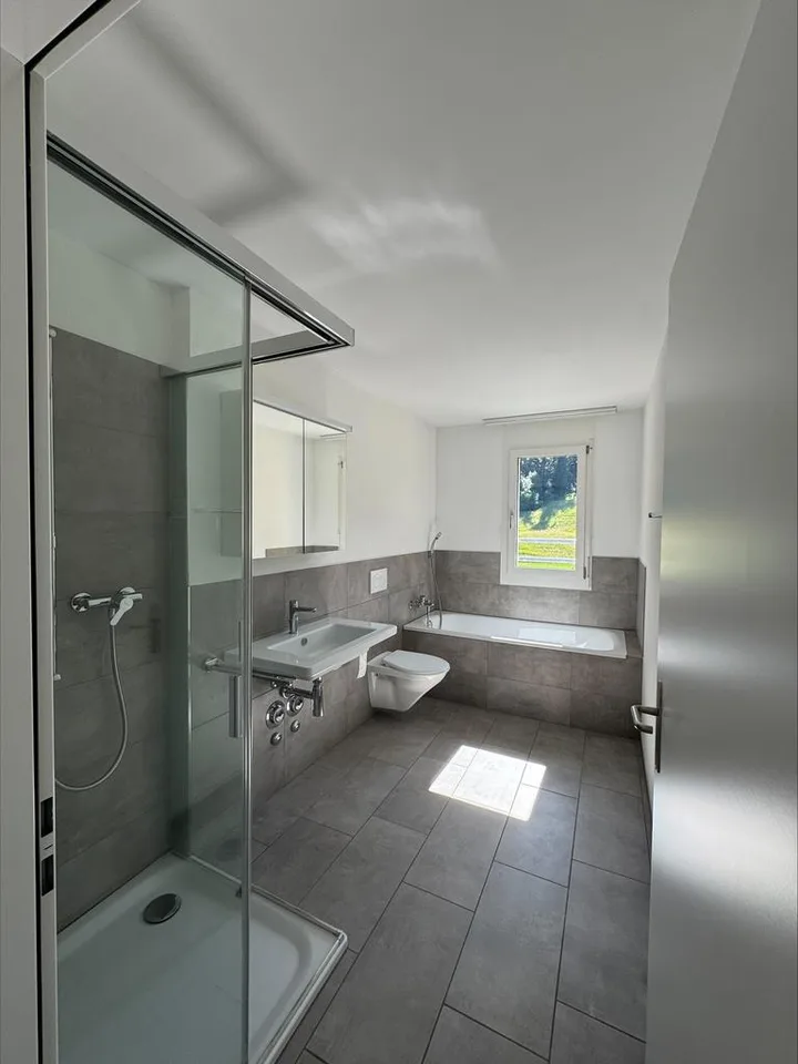 Appartement moderne avec deux grandes terrasses sur le toit