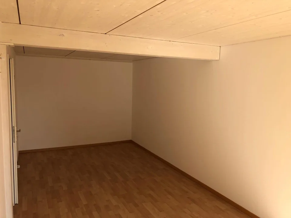 4.5 Zi, Studio, Dachterrasse und ein Garten direkt am Waldrand