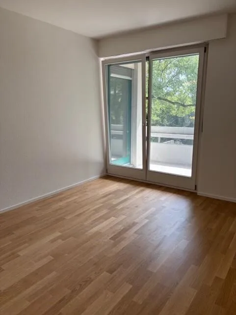 Renovated apartment in ideal location