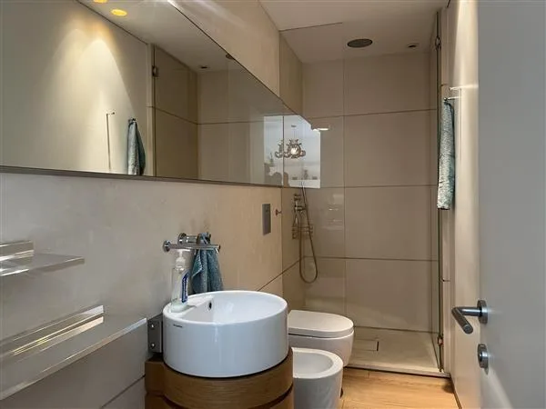 Massagno: Eingerichtete 2.5-Zimmer-Wohnung – Foto 7 von 10
