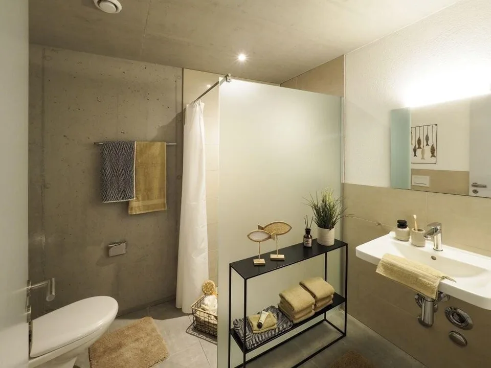 Appartement cherche célibataire