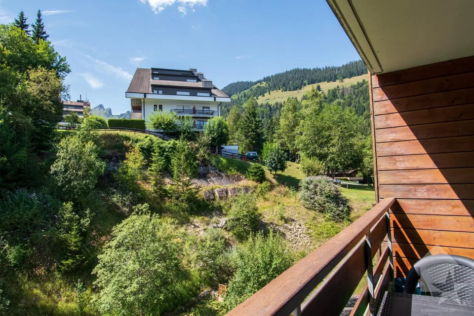Torgon, 2.5 room apartment in the Les Crêtes residence
