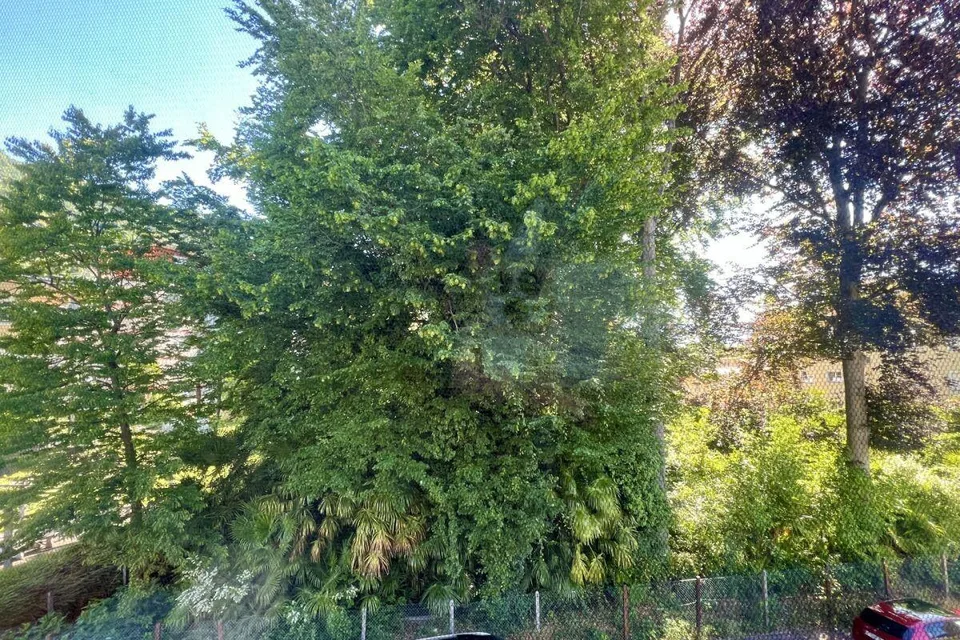 PREZZO NUOVO !!! Spazioso appartamento di 4,5 locali con balcone in una splendida posizione tranquilla a Minusio – foto 11 di 21